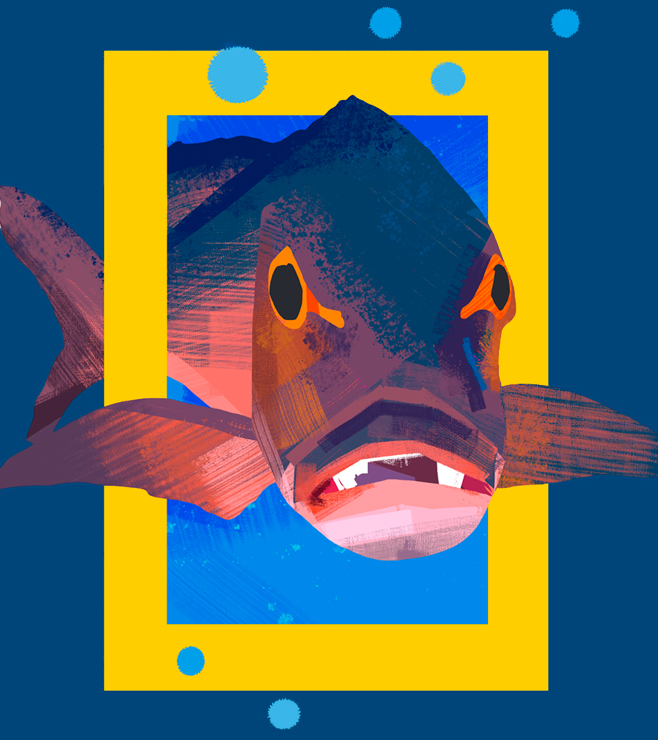 NATGEO_CASE_1Fishpaint