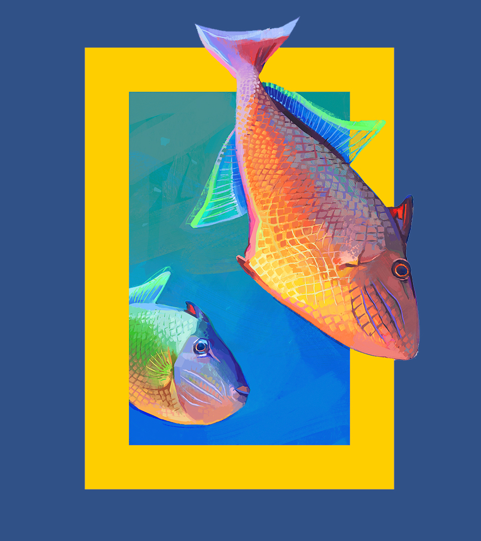 NATGEO_CASE_2Fish
