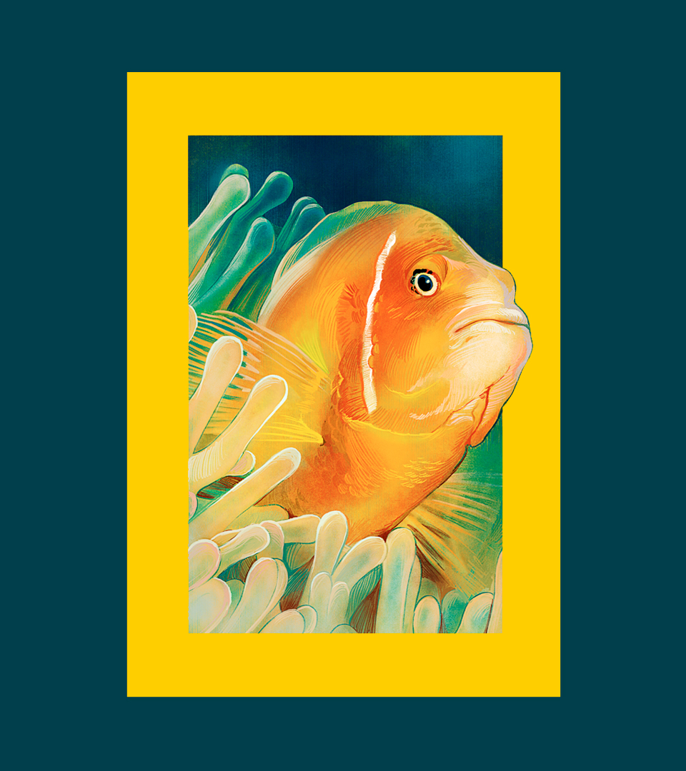 NATGEO_CASE_Fish1