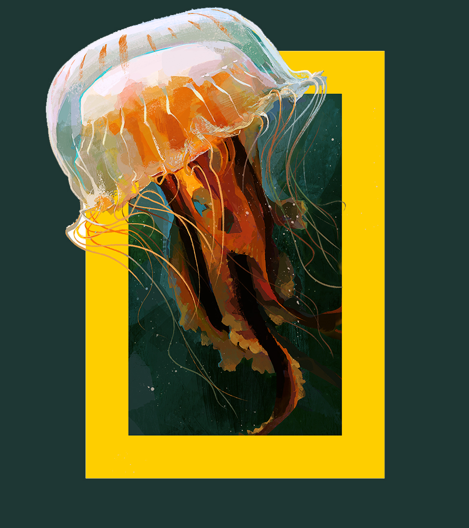 NATGEO_CASE_Jelly-Paint