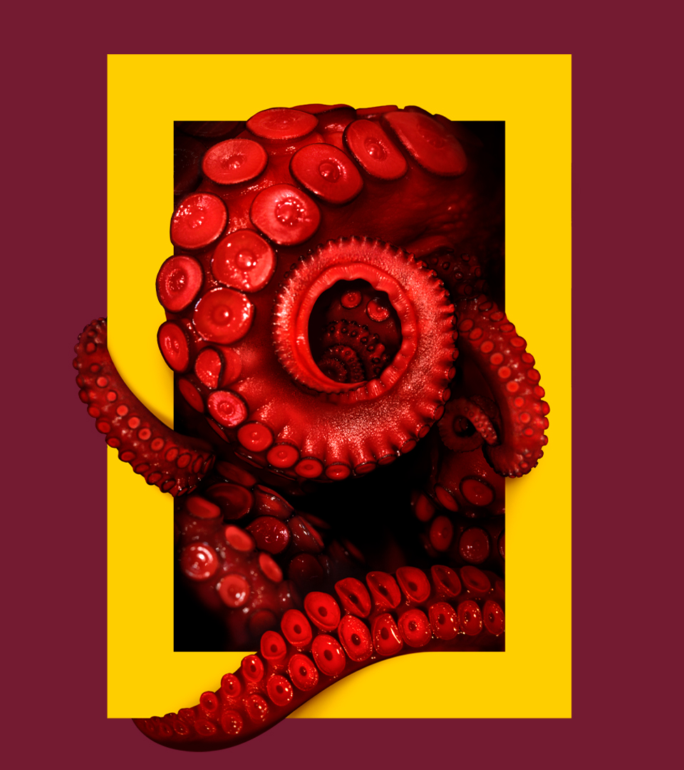 NATGEO_CASE_Octopus
