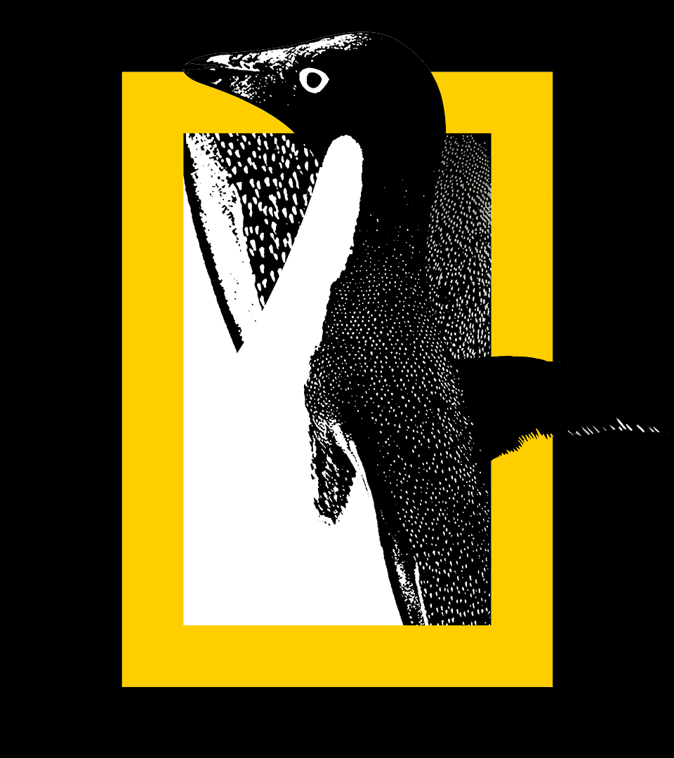 NATGEO_CASE_Penguin-Ink