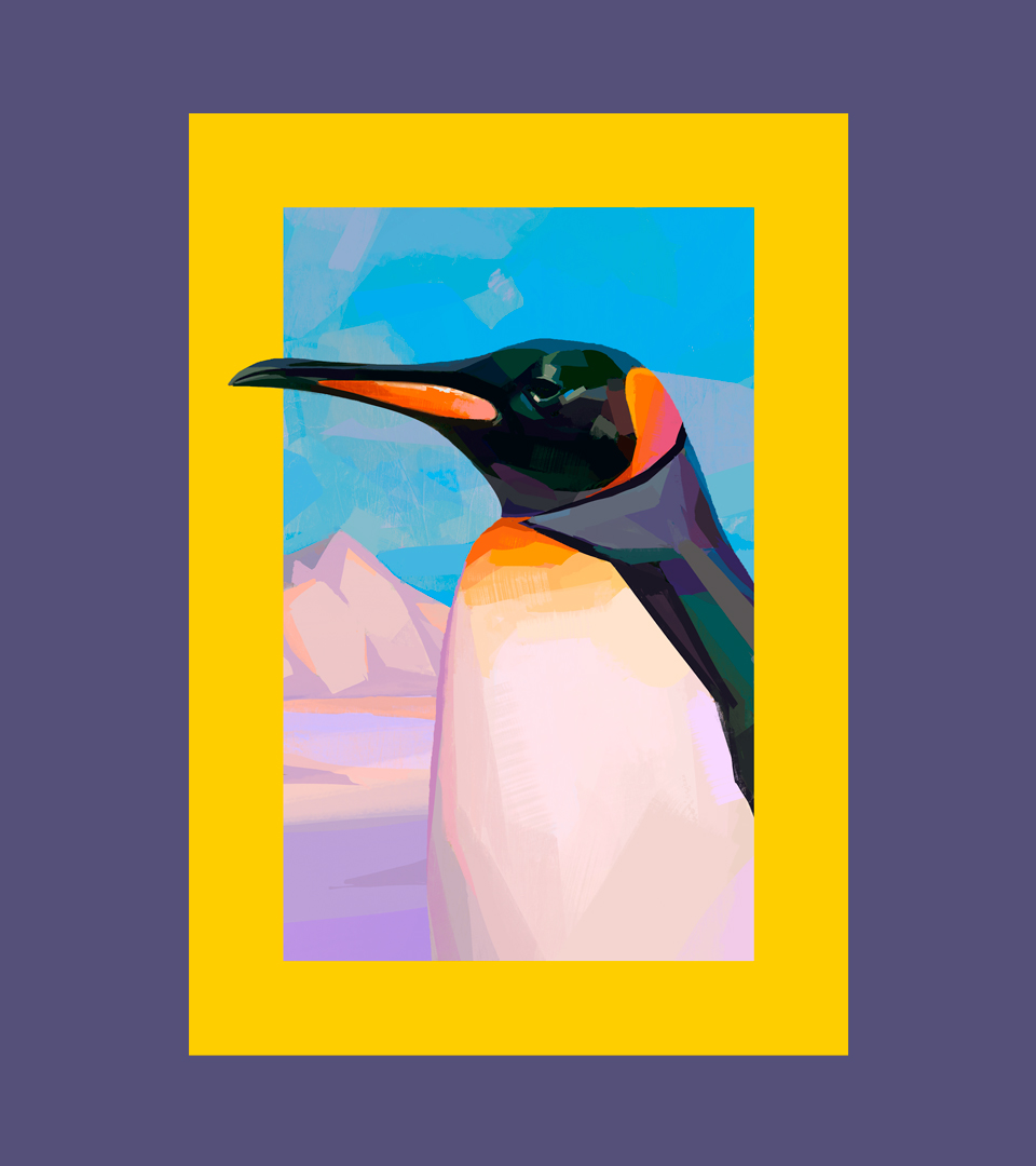 NATGEO_CASE_Penguin