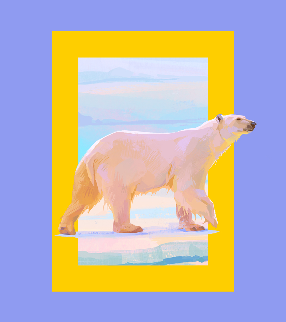 NATGEO_CASE_PolarBear