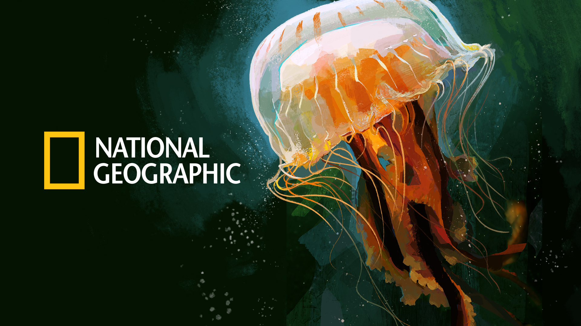 NATGEO_CASE_Splash2